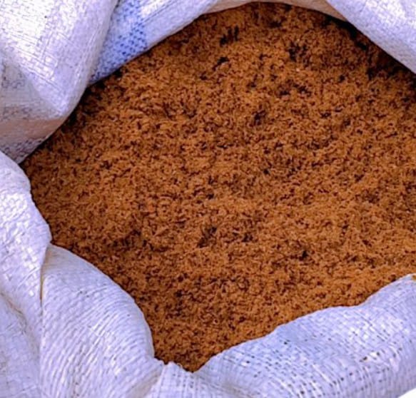 Cotton Seed 1Kg