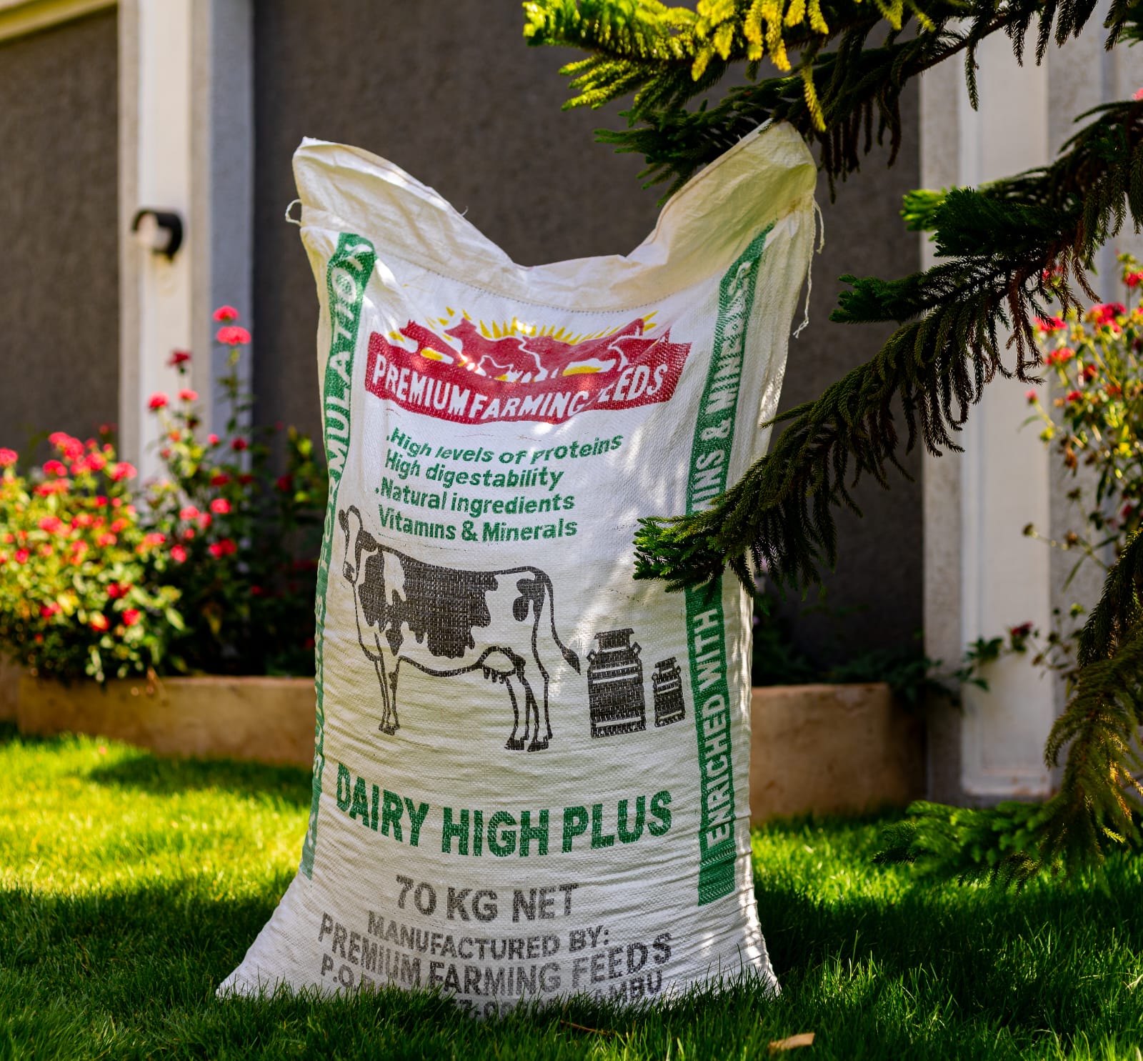 SuperDairy Plus