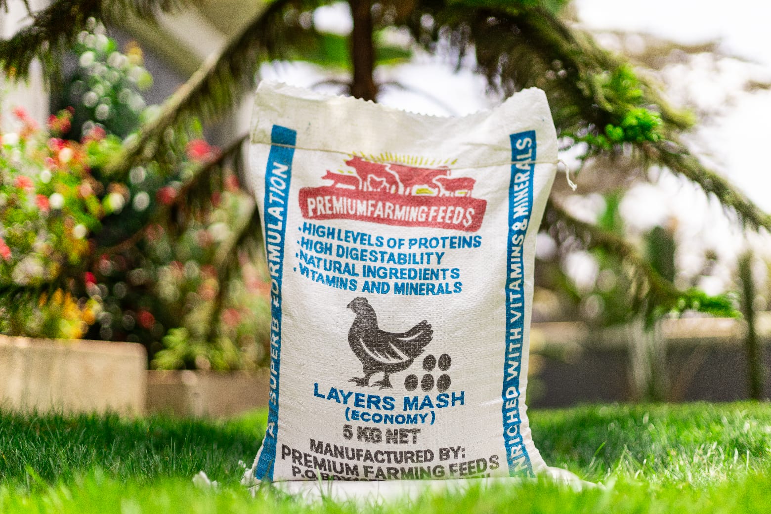 Layers Economy 5kgs