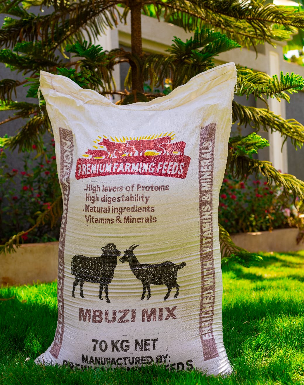 Mbuzi mix