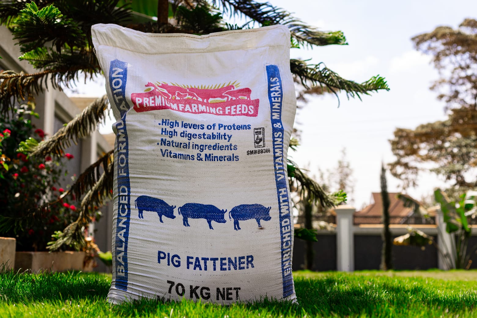Pig Fattener