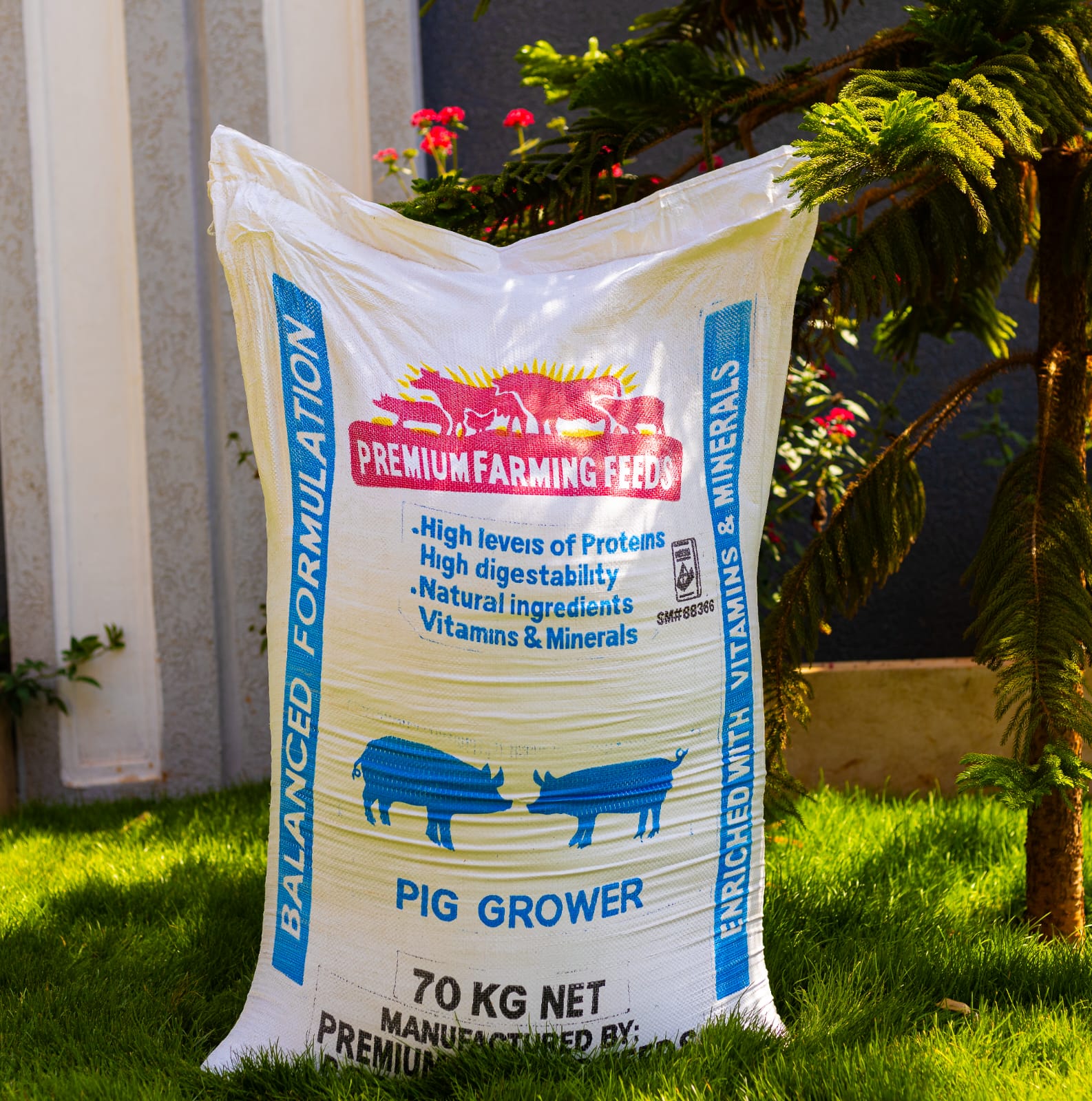 Pig grower