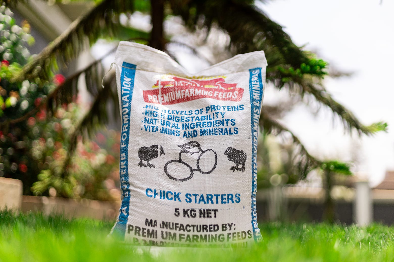Chick Starter 5kgs