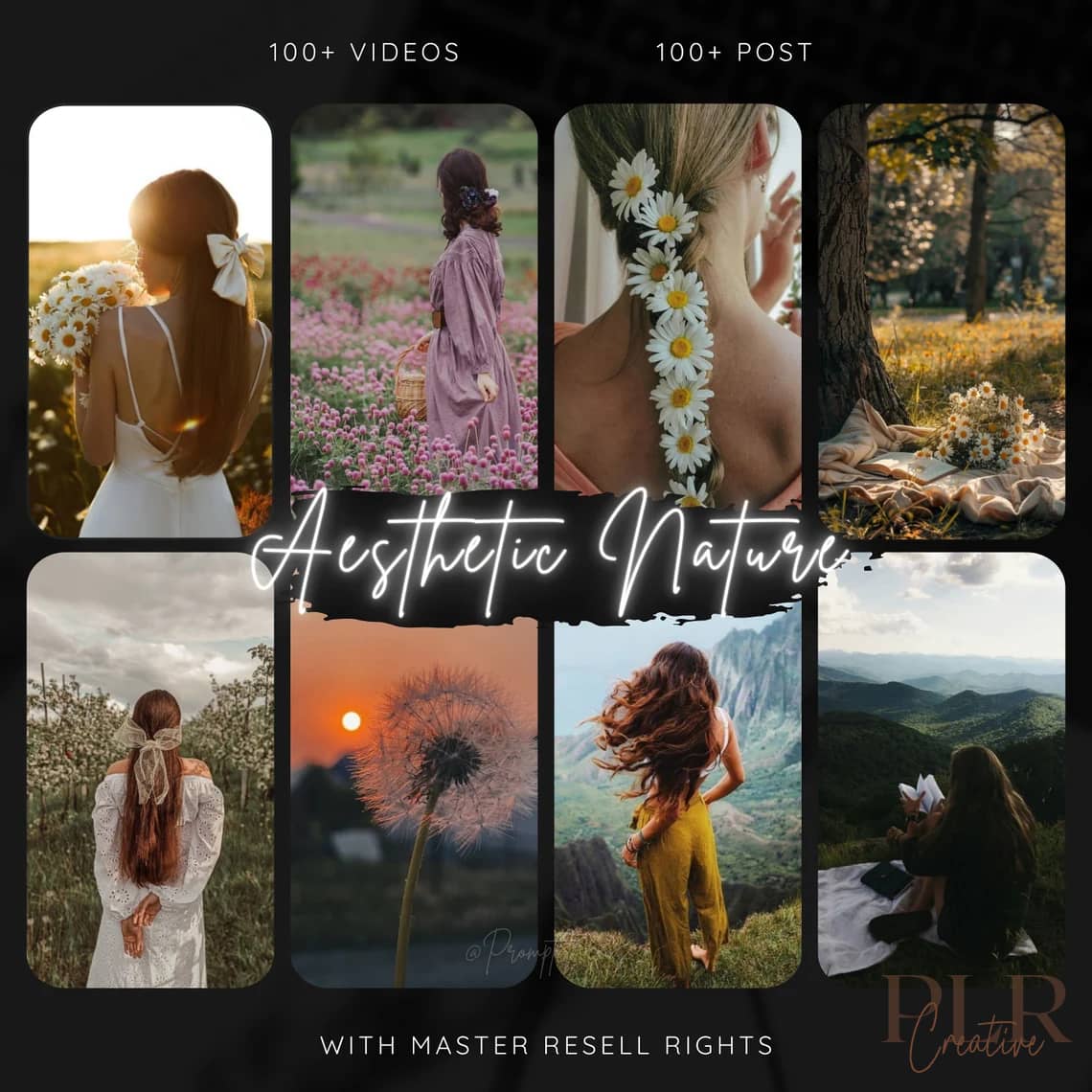 6000-faceless-aesthetic-videos-with-mrr-for-instagram