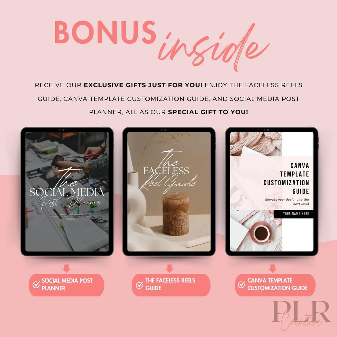 850-faceless-motherhood-reels-bundle-with-mrr