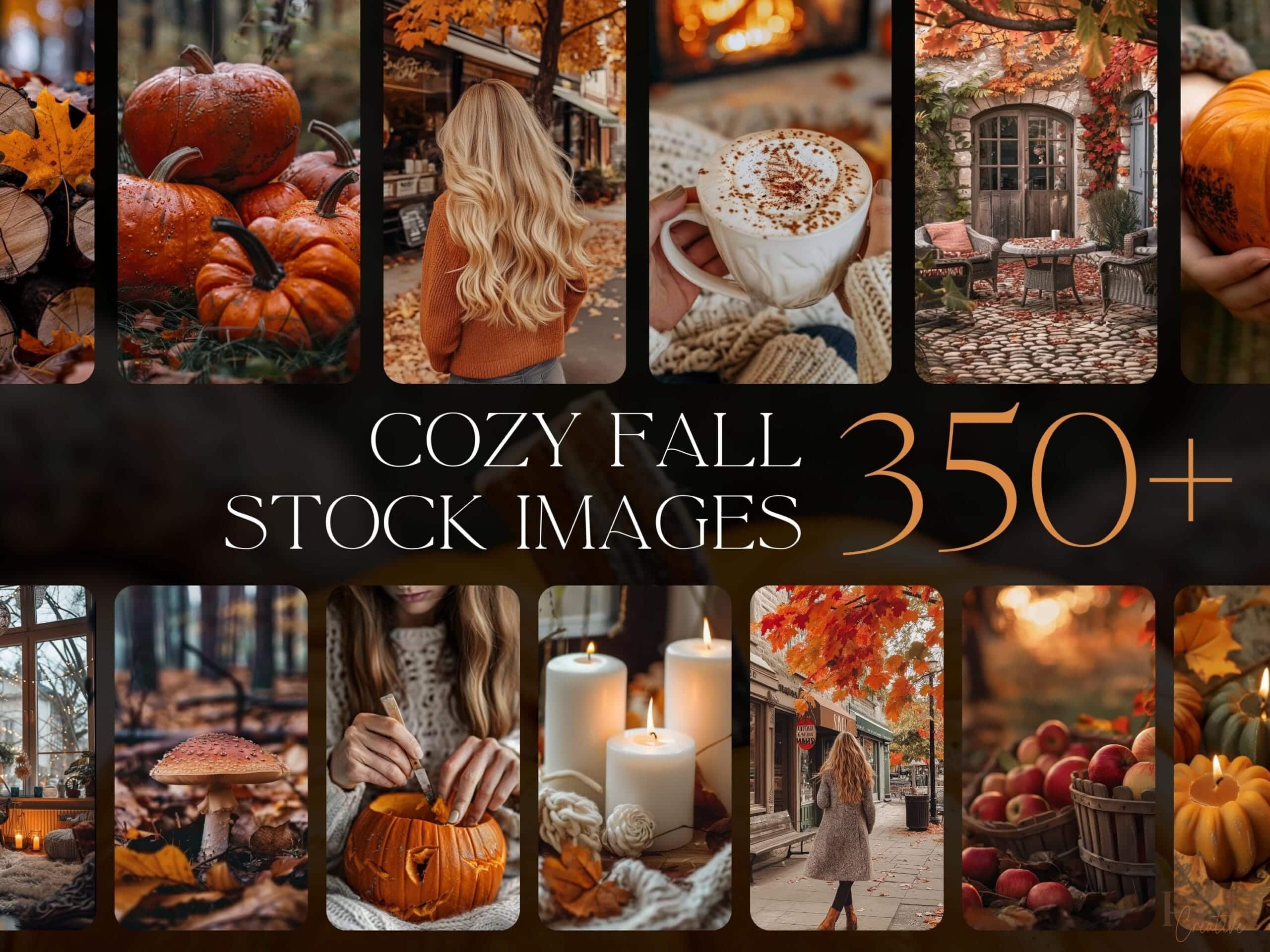 fall-videos-for-faceless-marketing-1000-reels-with-mrrplr