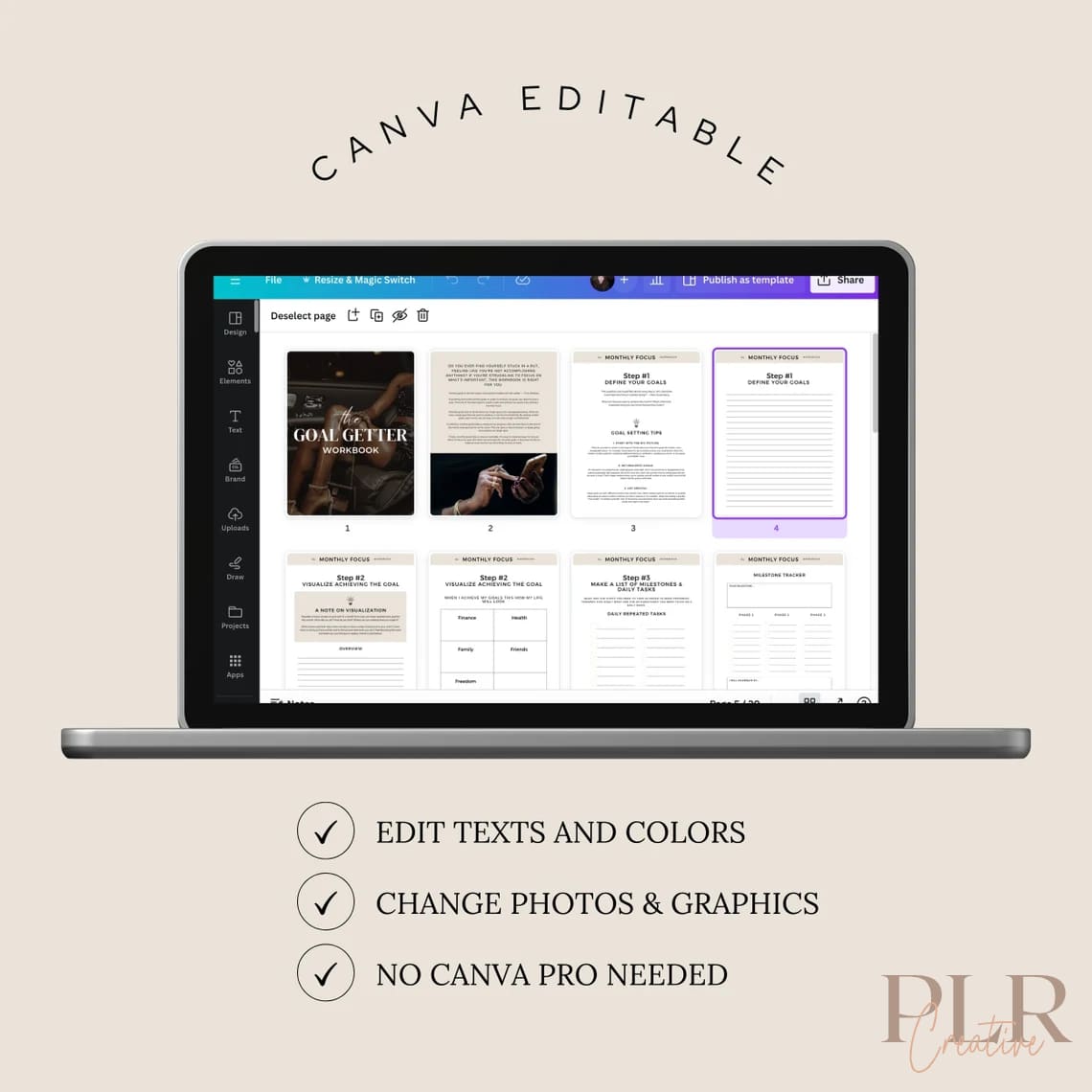 goal-getter-workbook-with-plr-mrr