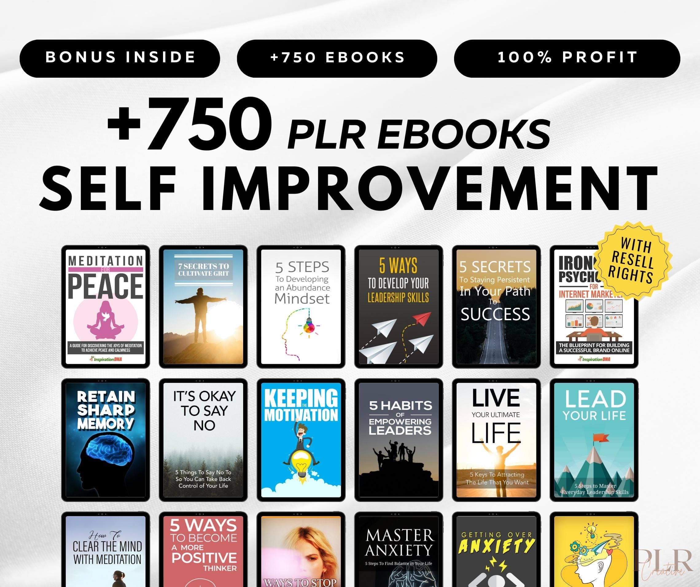 Self-Improvement eBooks Bundle: 750+ PLR & MRR for Resale