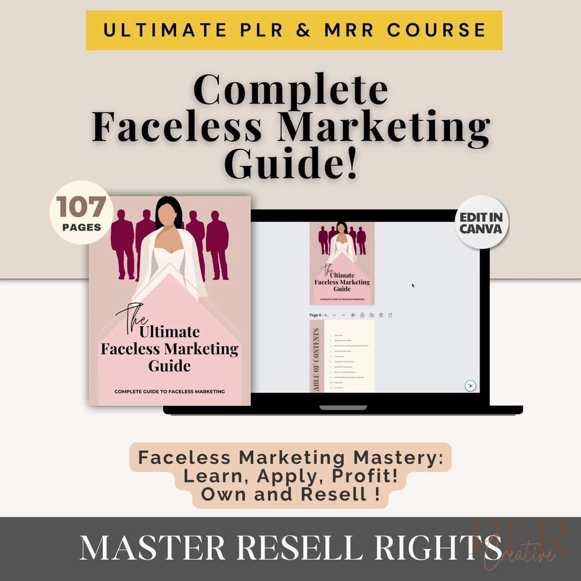 tiktok-faceless-marketing-course-with-mrr-plr