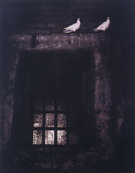 Original Image