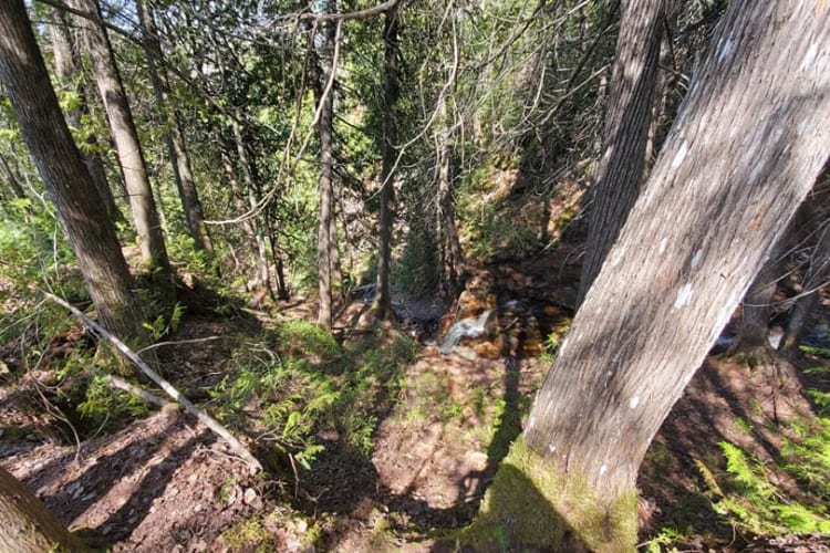 Steep section of Mazukama Falls Trail