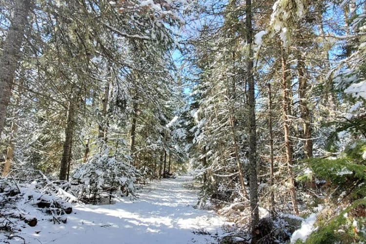 Snowy Trail to Middlebrun Bay