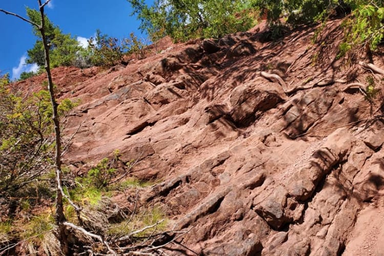 Steep Natural Stairs on Wolf River Falls Trail