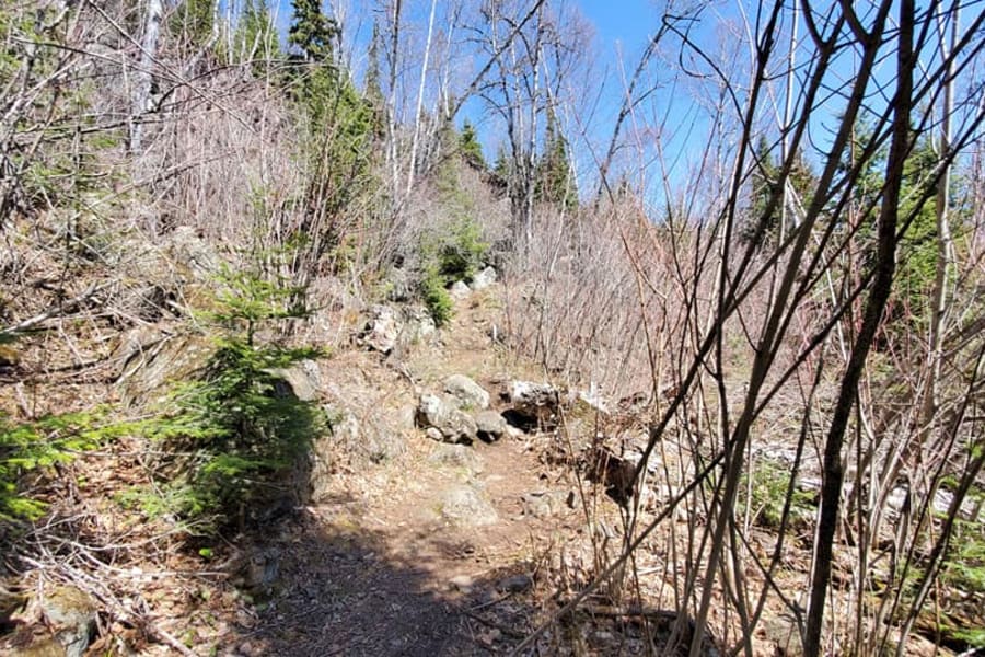 Some of Finger Point Trail