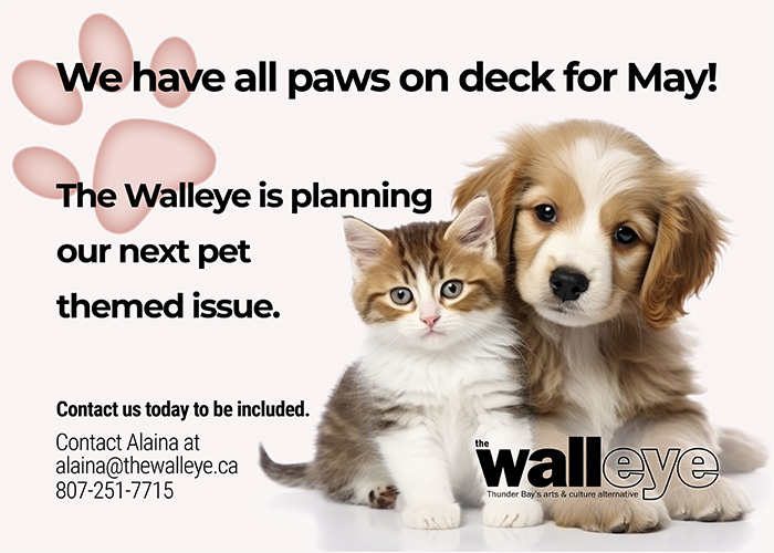 Pet themed e-blast graphic