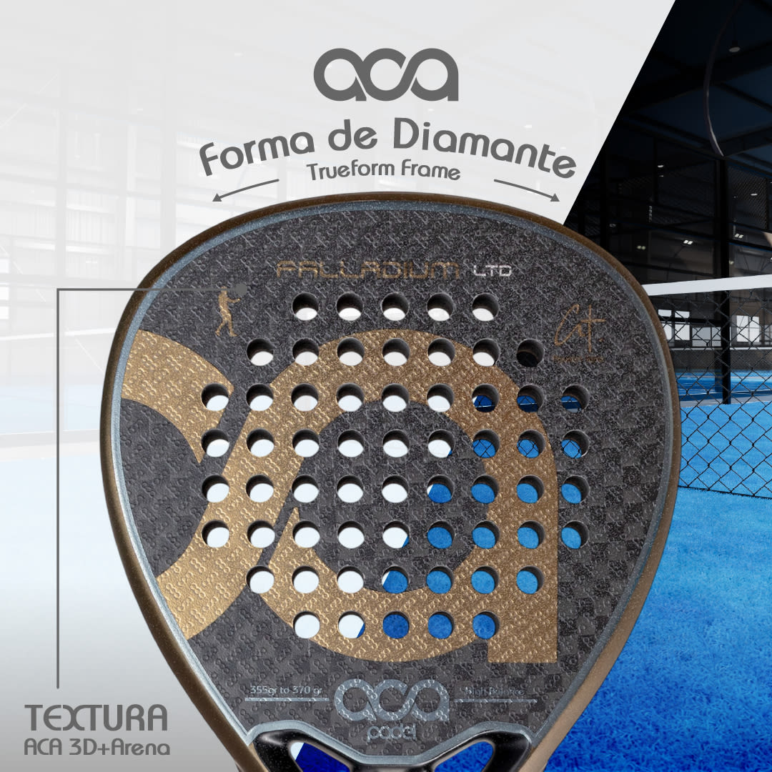 PALLADIUM GOLD LTD miniatura 6