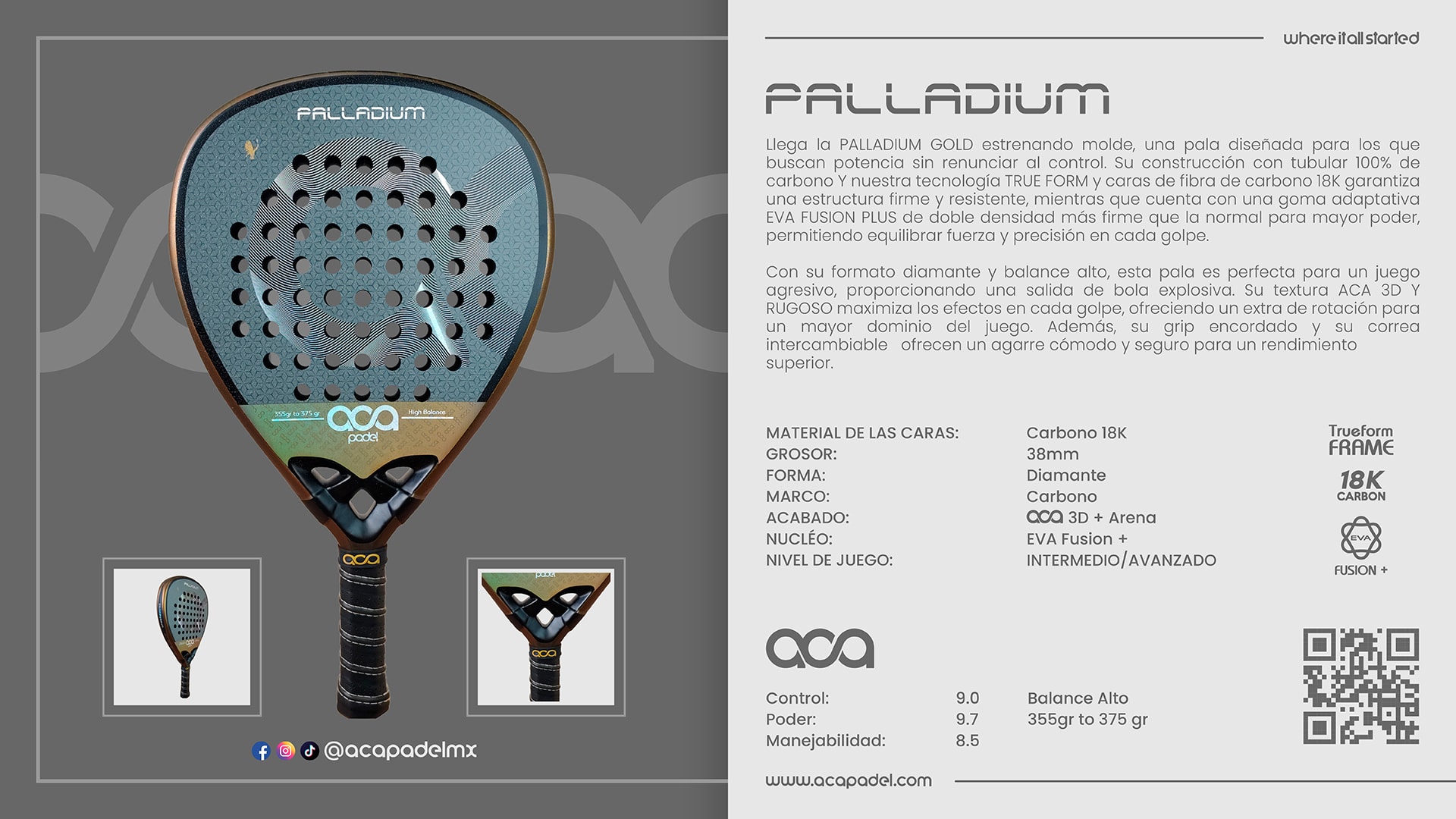 Descripción de PALLADIUM GOLD