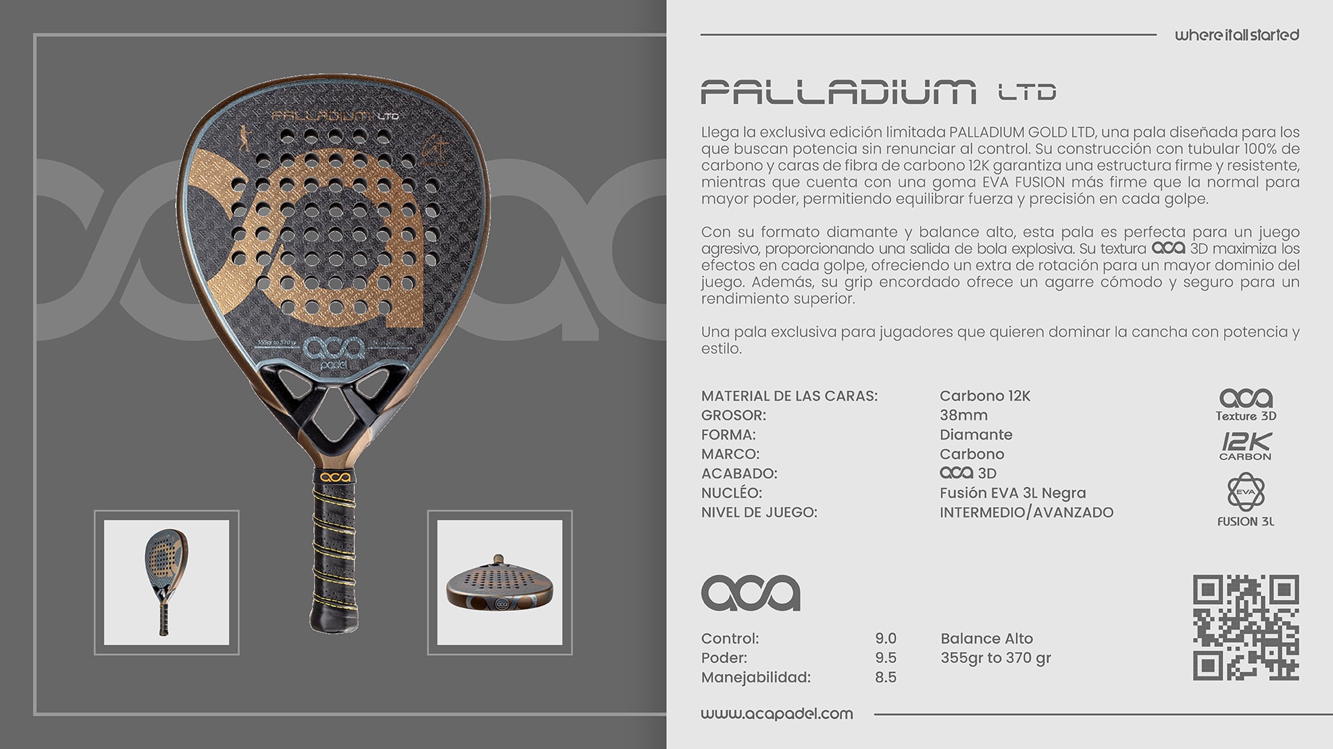 Descripción de PALLADIUM GOLD LTD