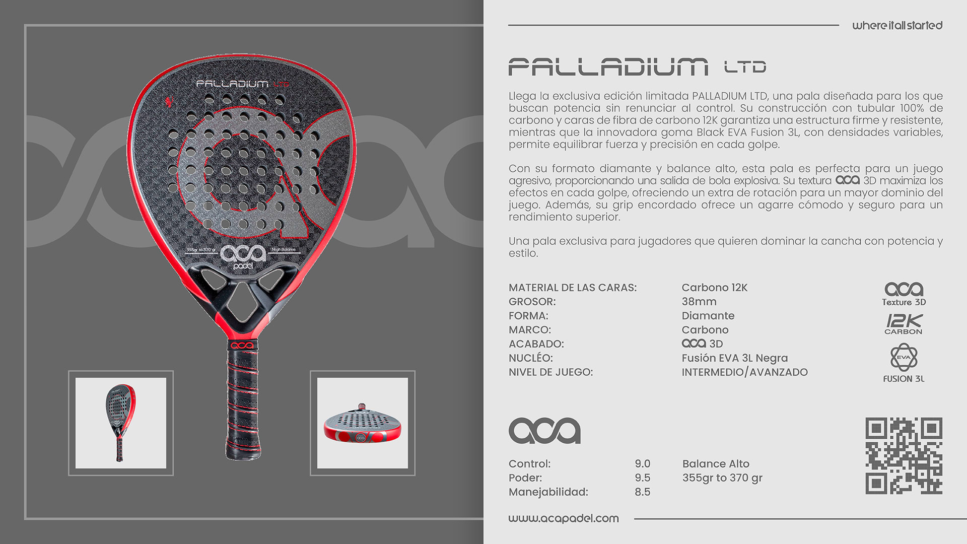 Descripción de PALLADIUM LTD