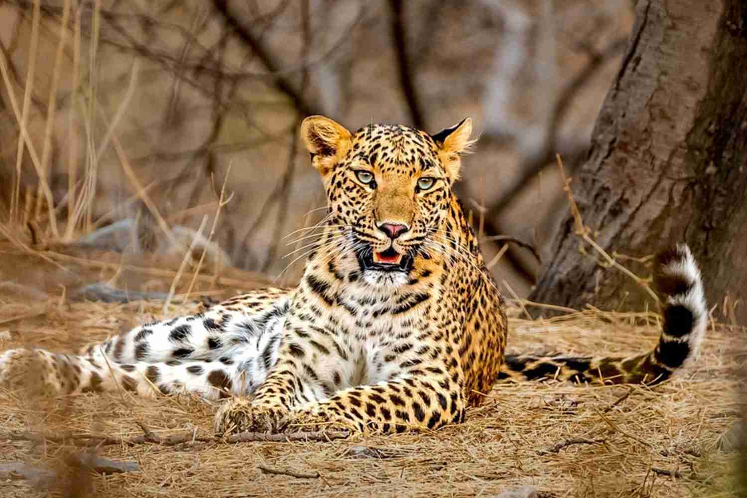 ギル国立公園 - 3