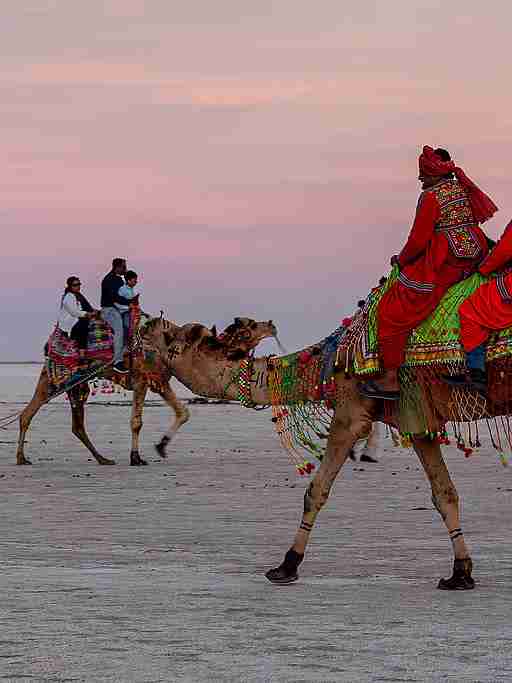 ラン・オブ・カッチ - 2