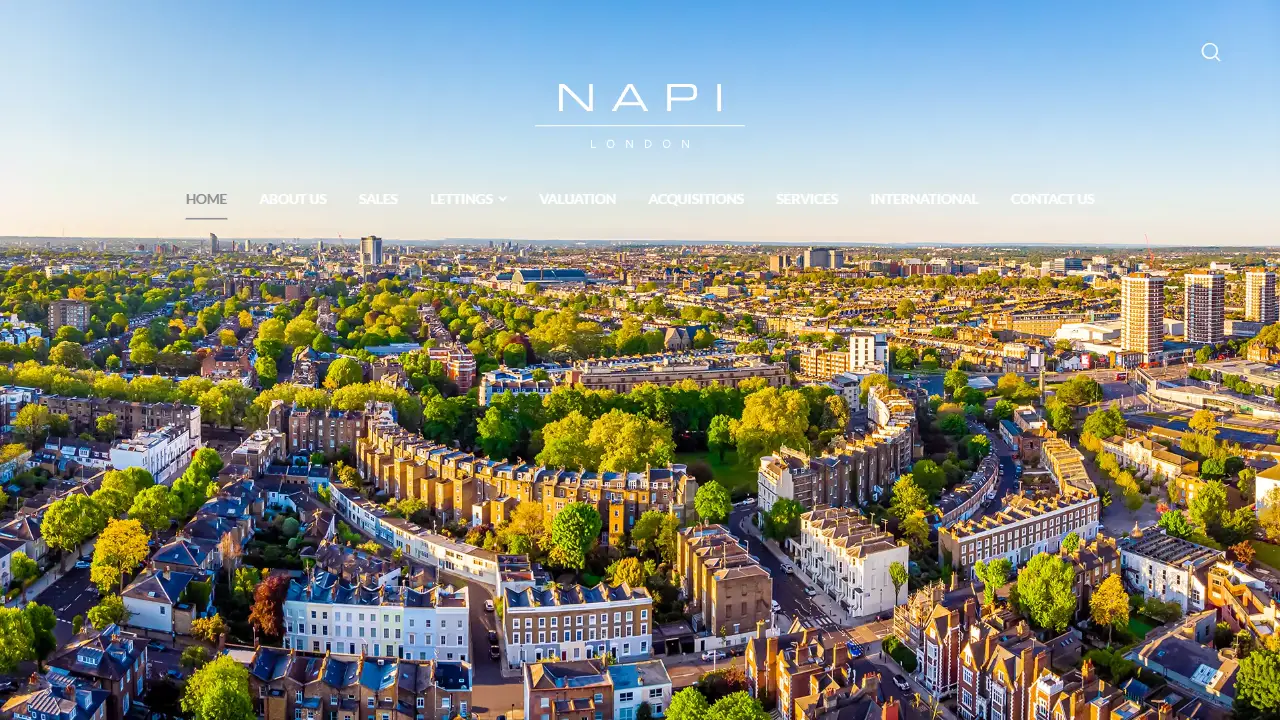 NAPI London