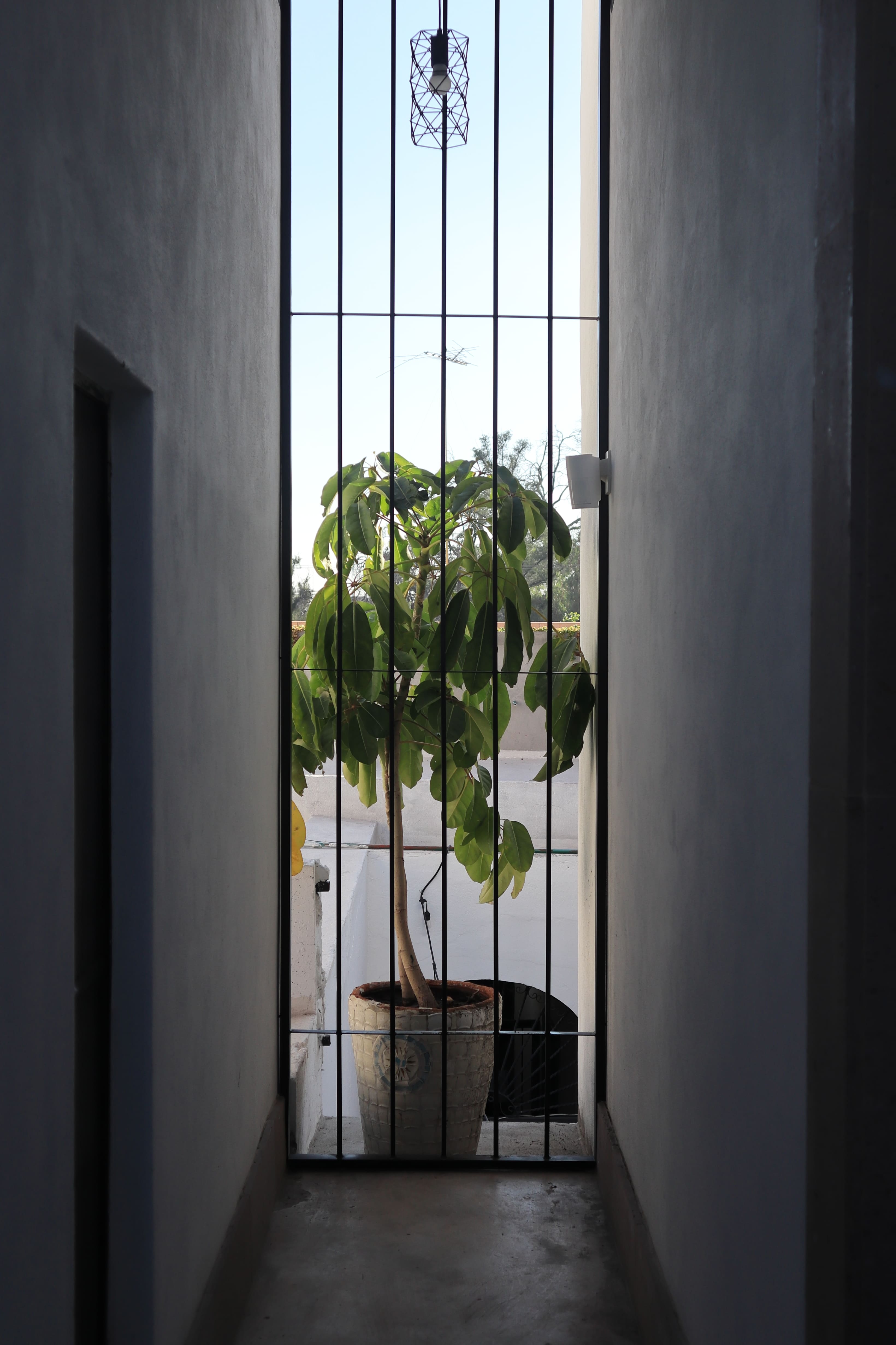 Pasillo con maceta al fondo con luz de mañana