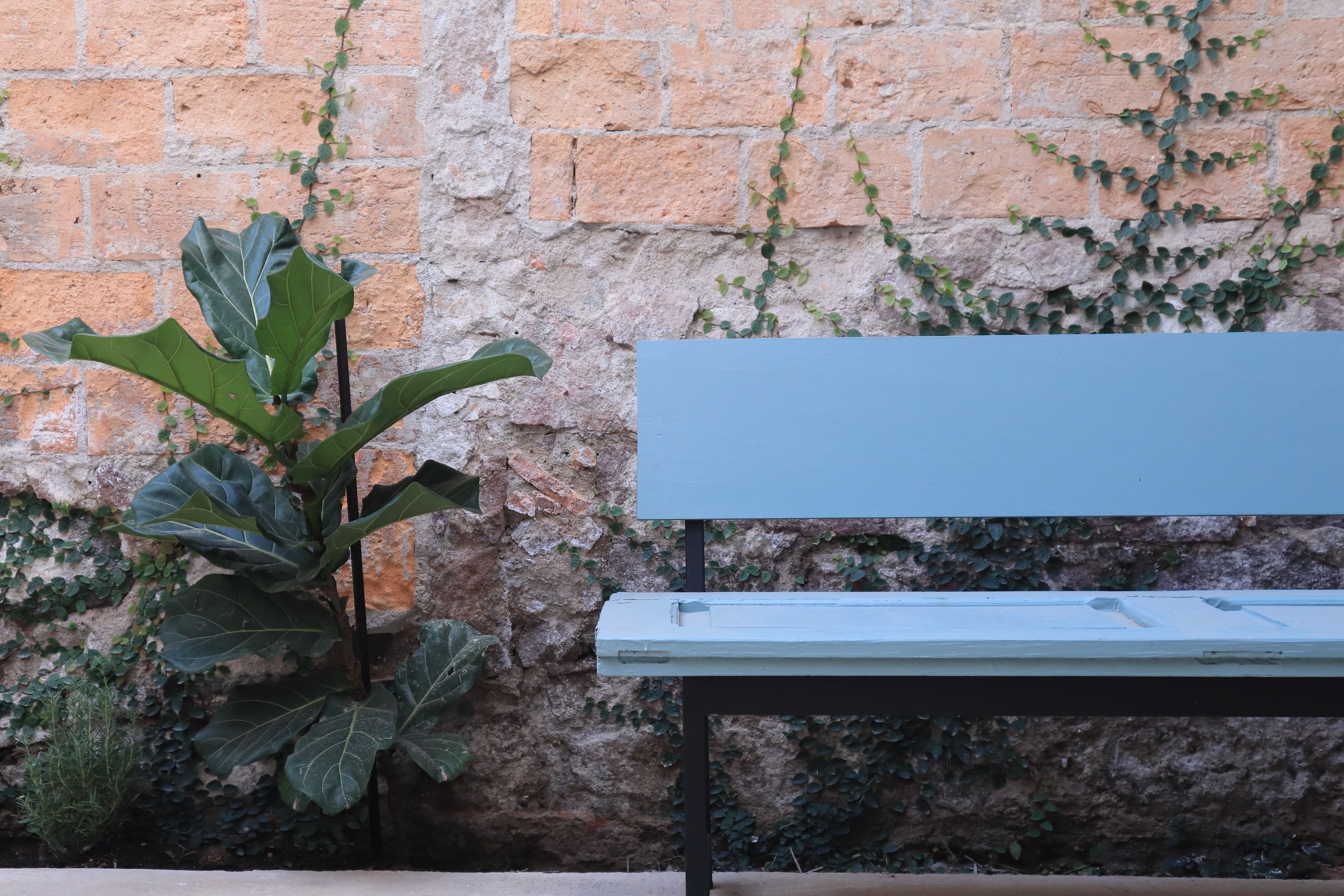 Banca azul con jardín lineal