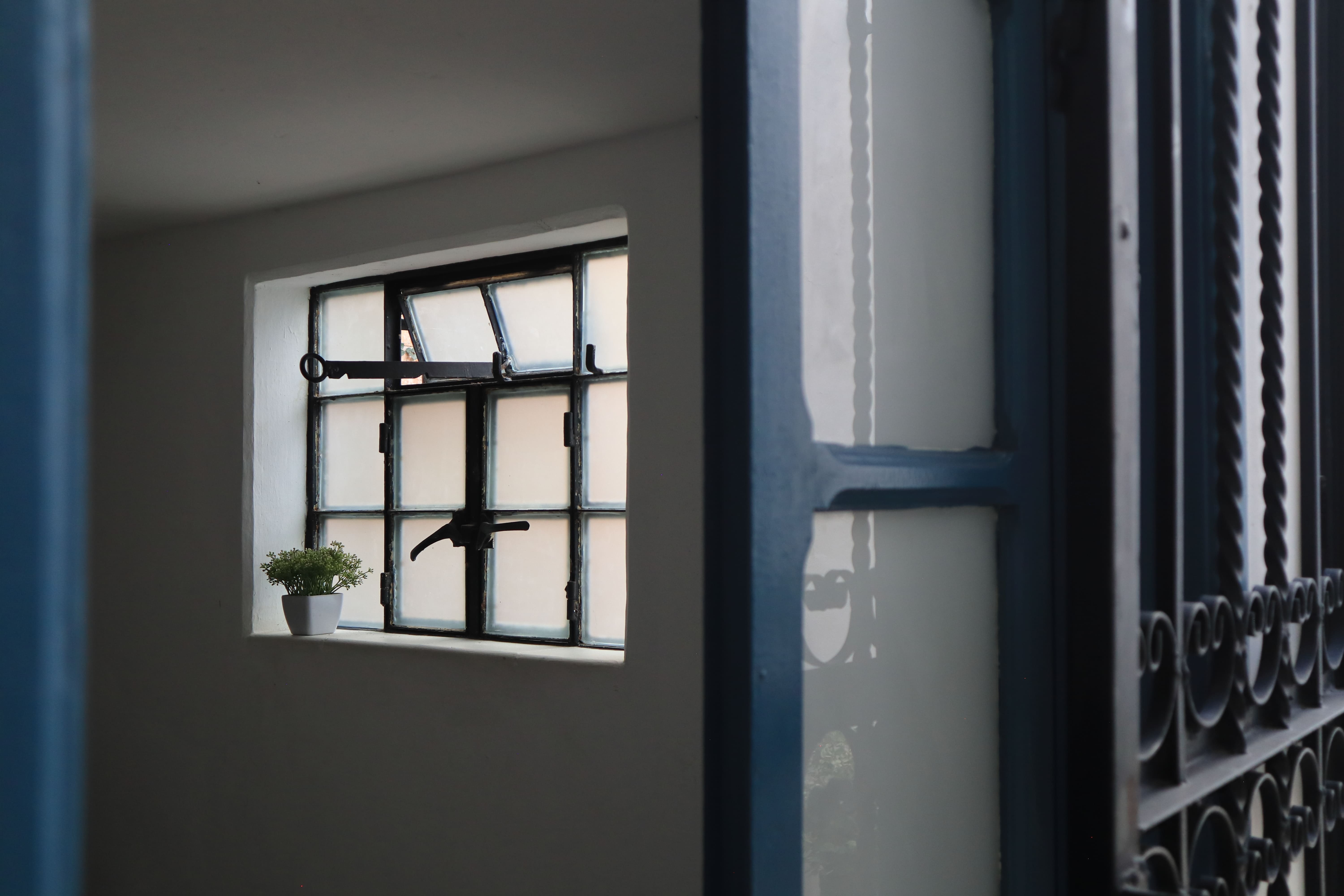 Detalle en ventana con planta