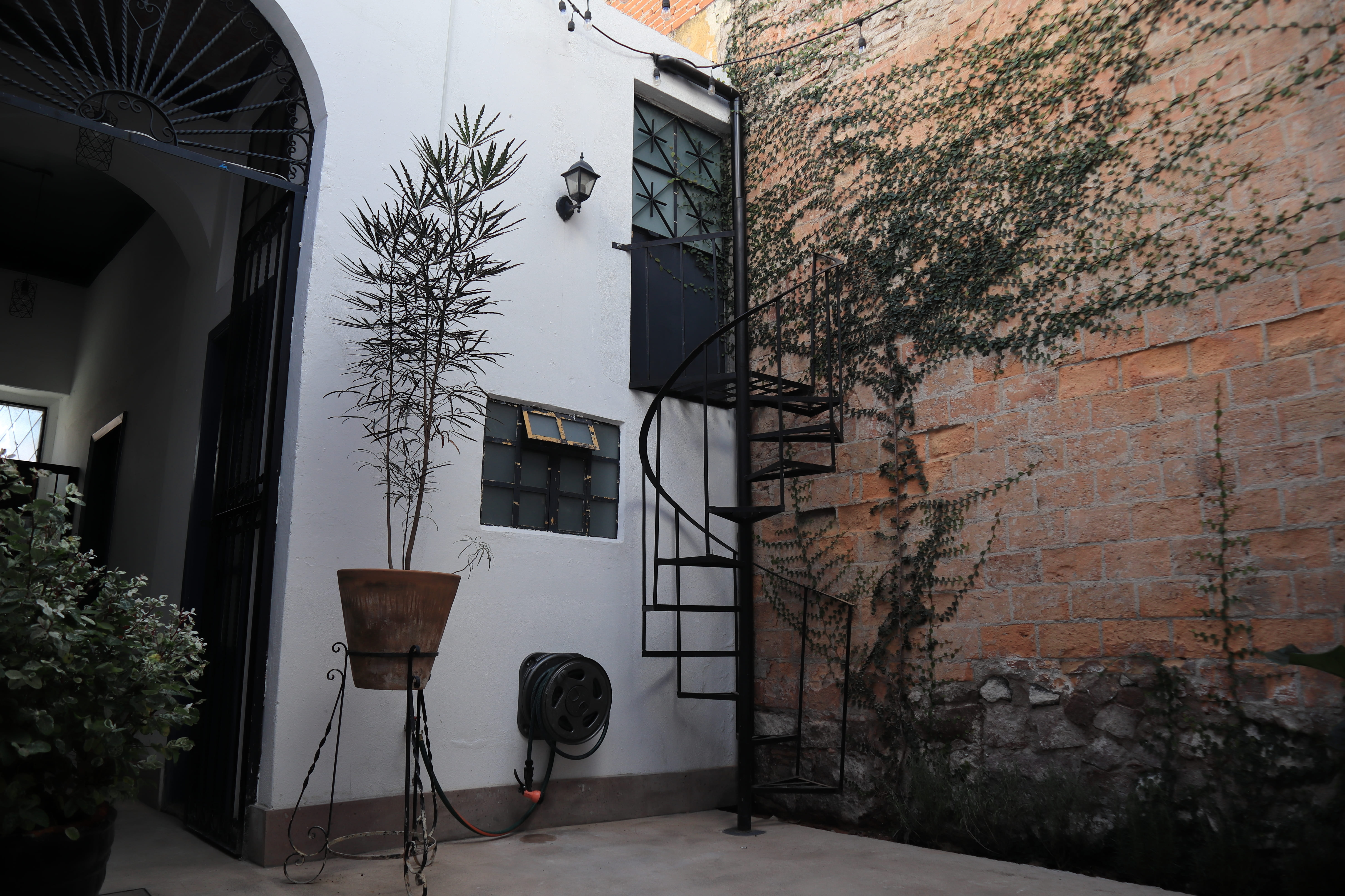 Patio colonial con plantas