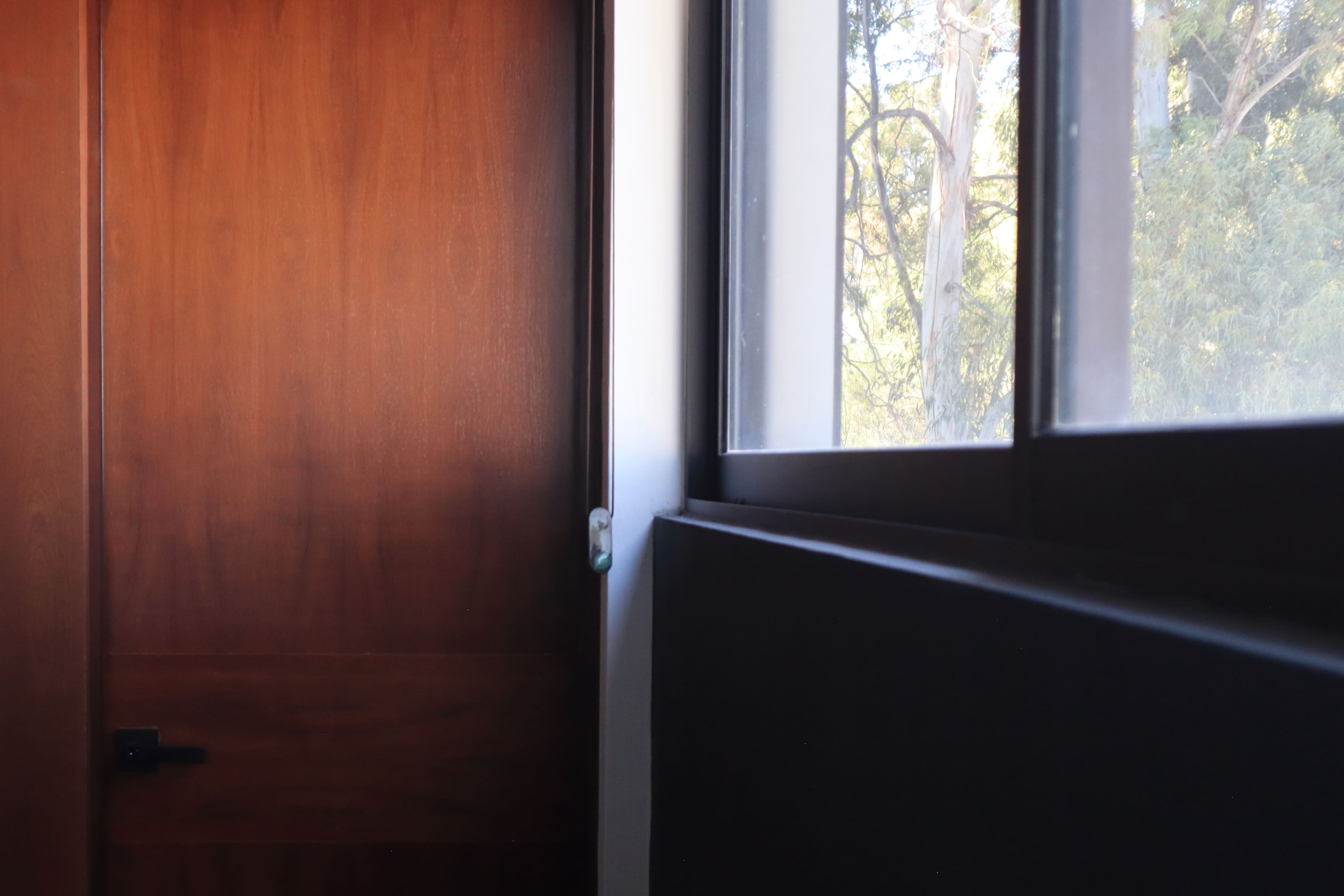 Detalle de diseño interior en Casa DRM, mostrando la combinación de puerta de madera natural y cancelería de aluminio oscuro junto a una ventana con vista al exterior. Construcción y diseño de MGDC en Campestre, SLP.