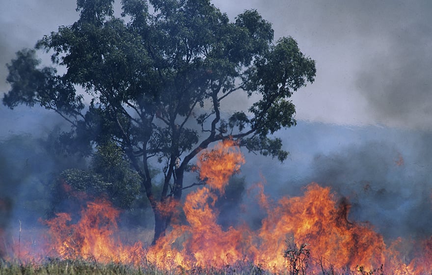 Image: Bush fires in Australia devasted homes and buildings (Photographerlondon/Dreamstime.com) Image: Bush fires in Australia devasted homes and buildings (Photographerlondon/Dreamstime.com)