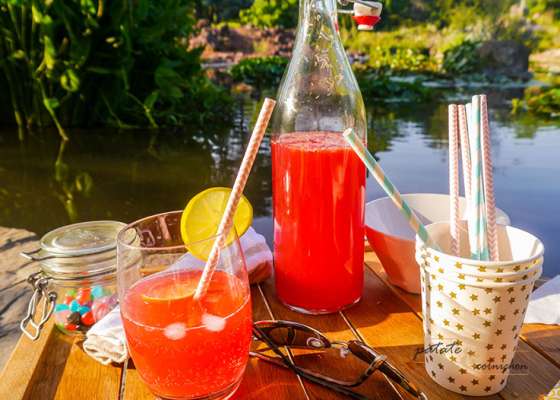 Citronnade aux cranberries