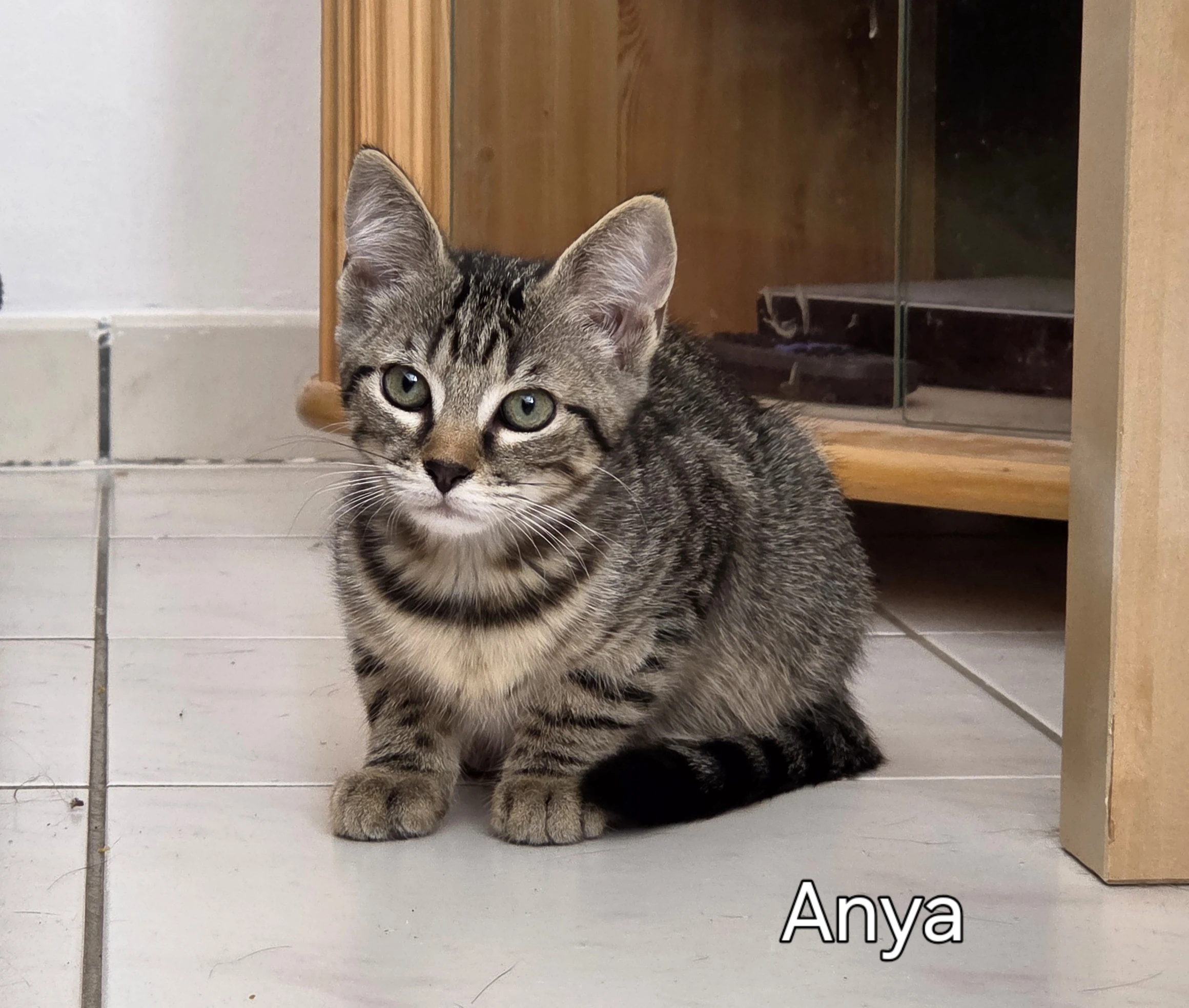 Anya 2