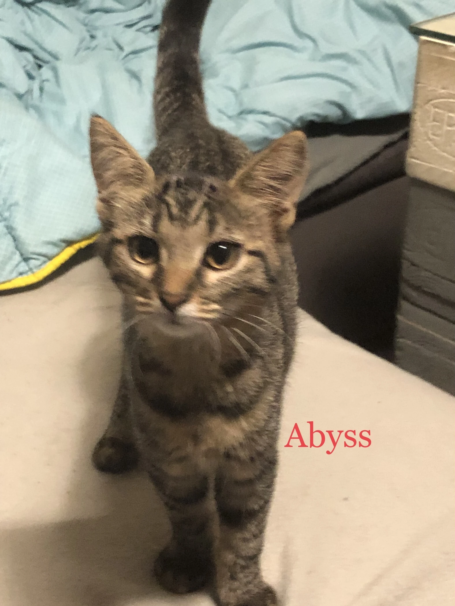 Abyss 0