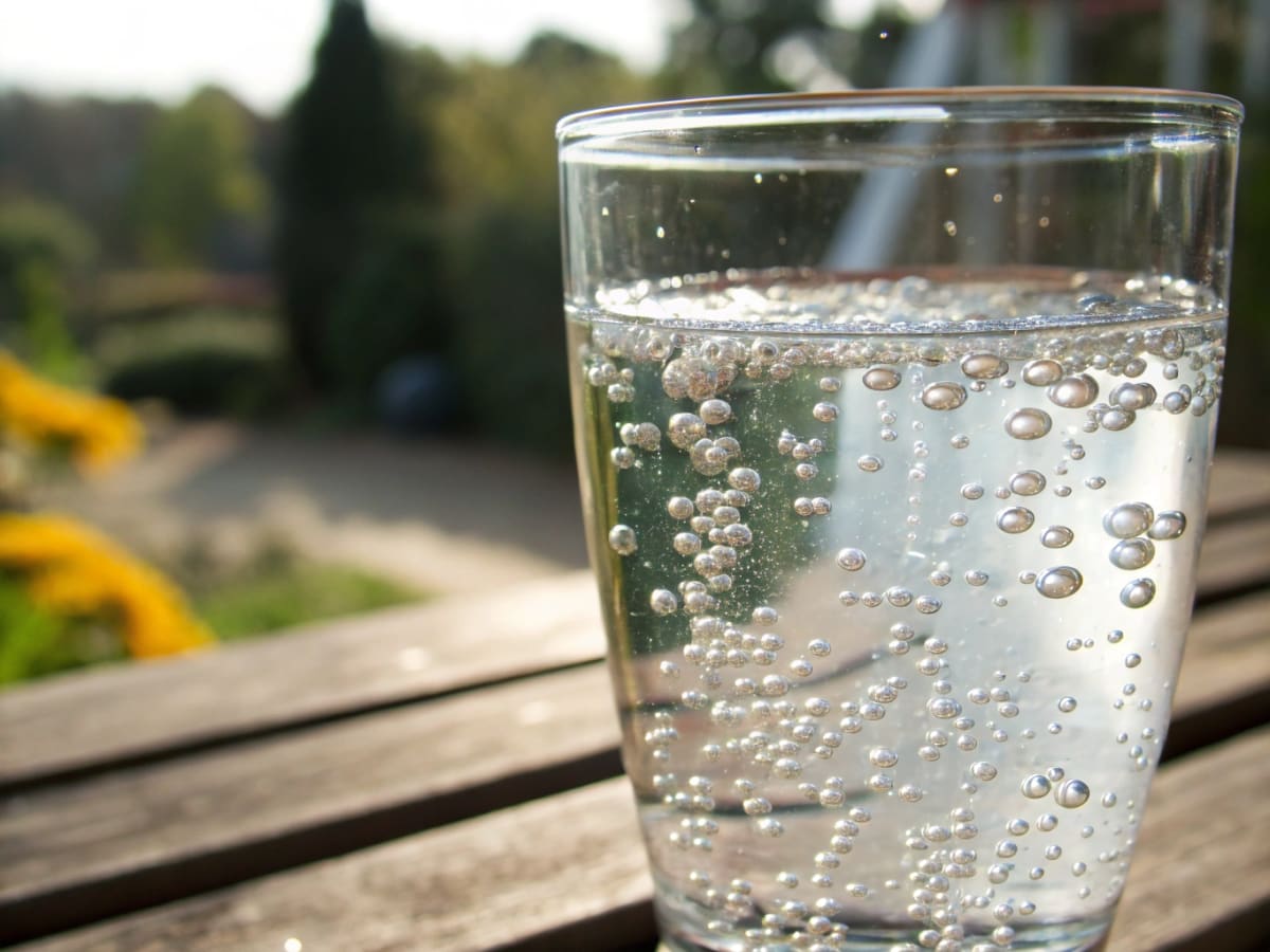 Water Health Water Purifier 
