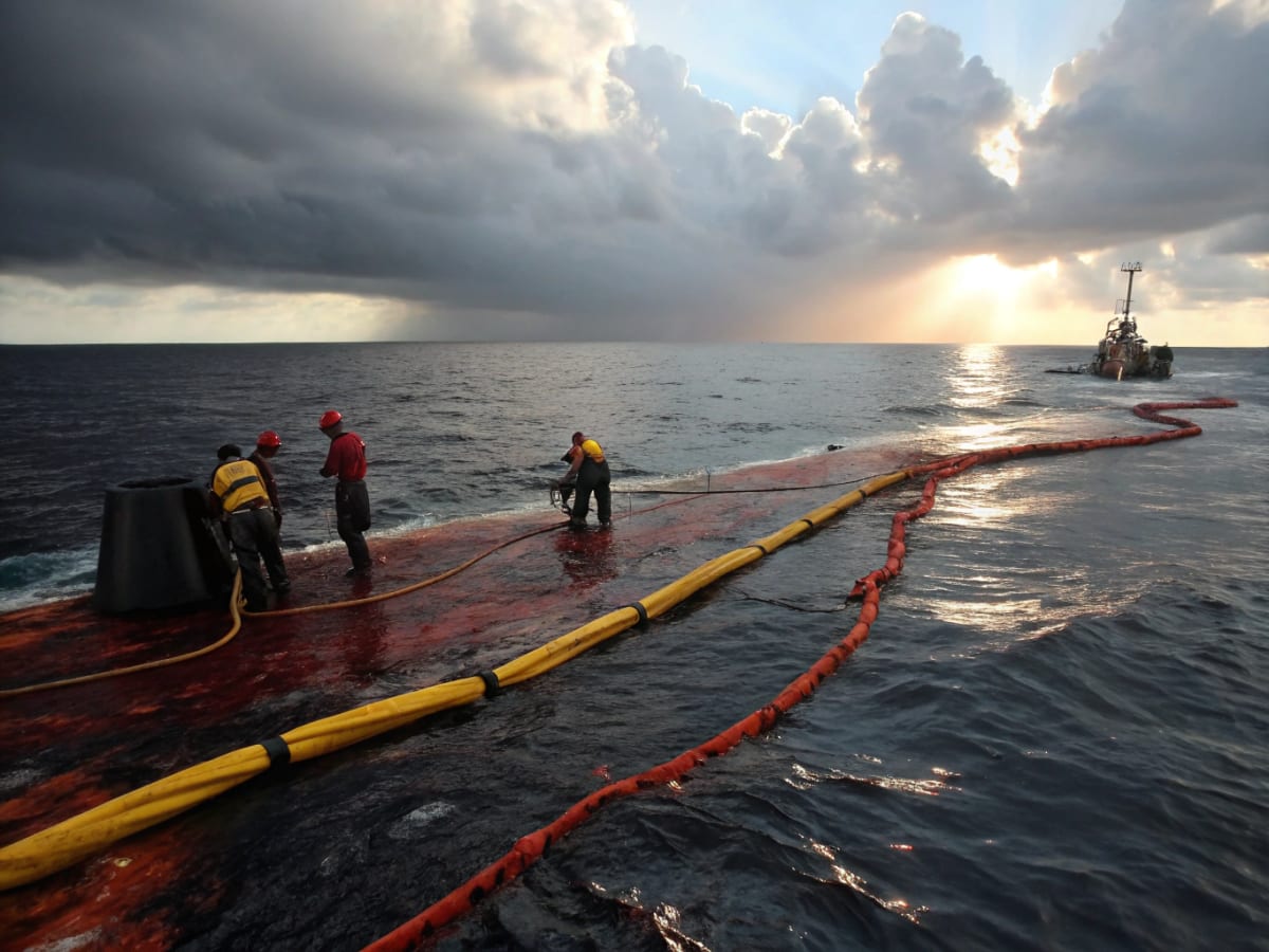 오일흡착재  oil