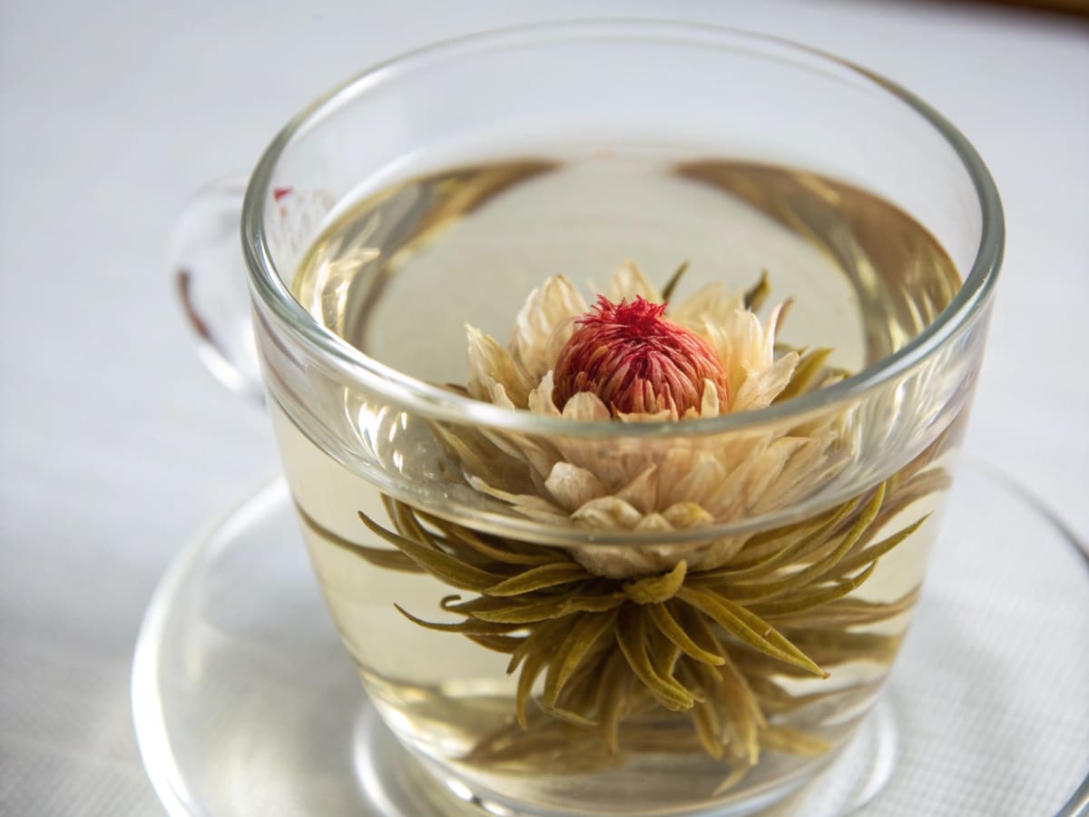 백화초 농원 flower