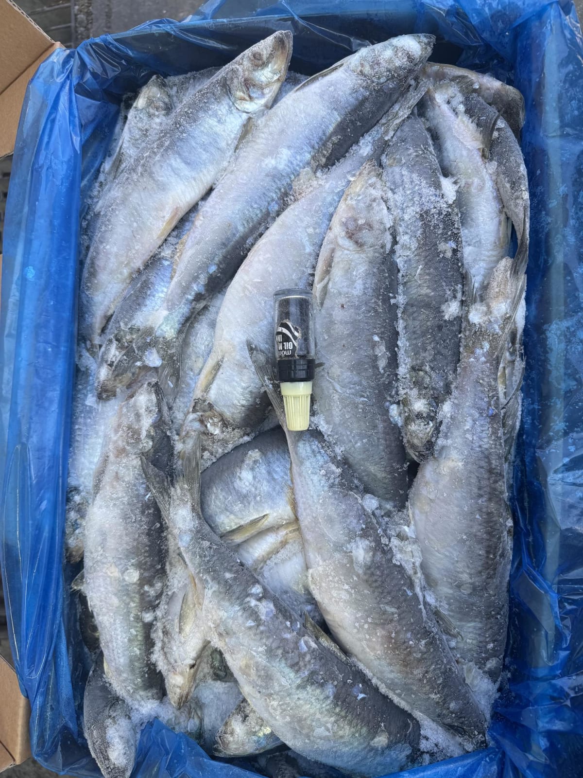 Innovative Case Grabbing the Opportunity to Enter the European Market: The Secret to Successful Fish Export