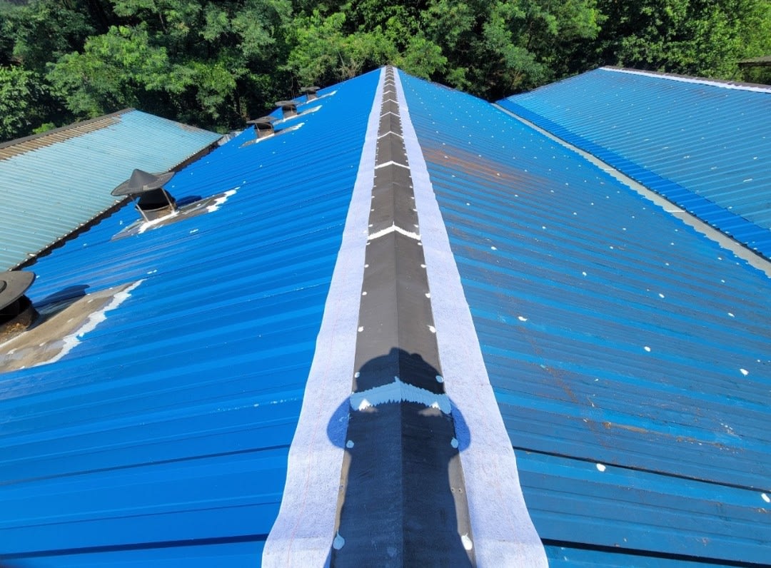 돈사 녹슨 판넬 지붕 덮는 공사