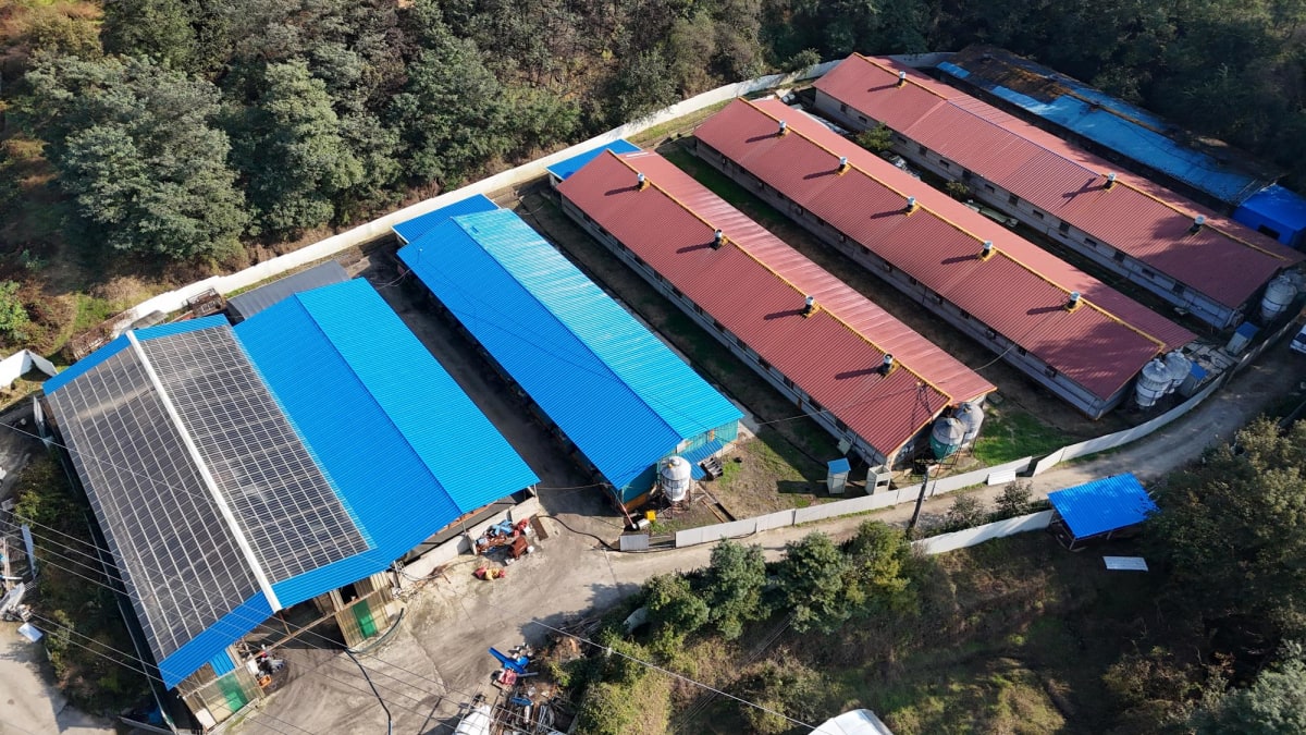 돈사 녹슨 판넬 지붕 덮는 공사_11.jpg