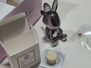 2024년 소비자 평가 1위에 선정된 차량용 방향제