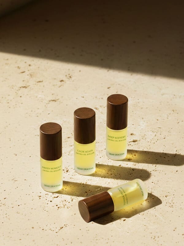 디어드라세나, 더현대 서울 체험형 팝업스토어 오픈