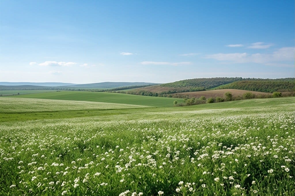 지속 가능한 아름다움