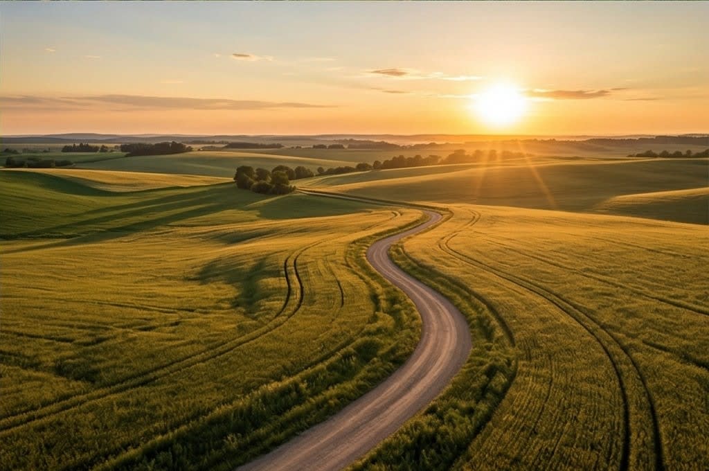 노을 지는 들판의 평온한 길