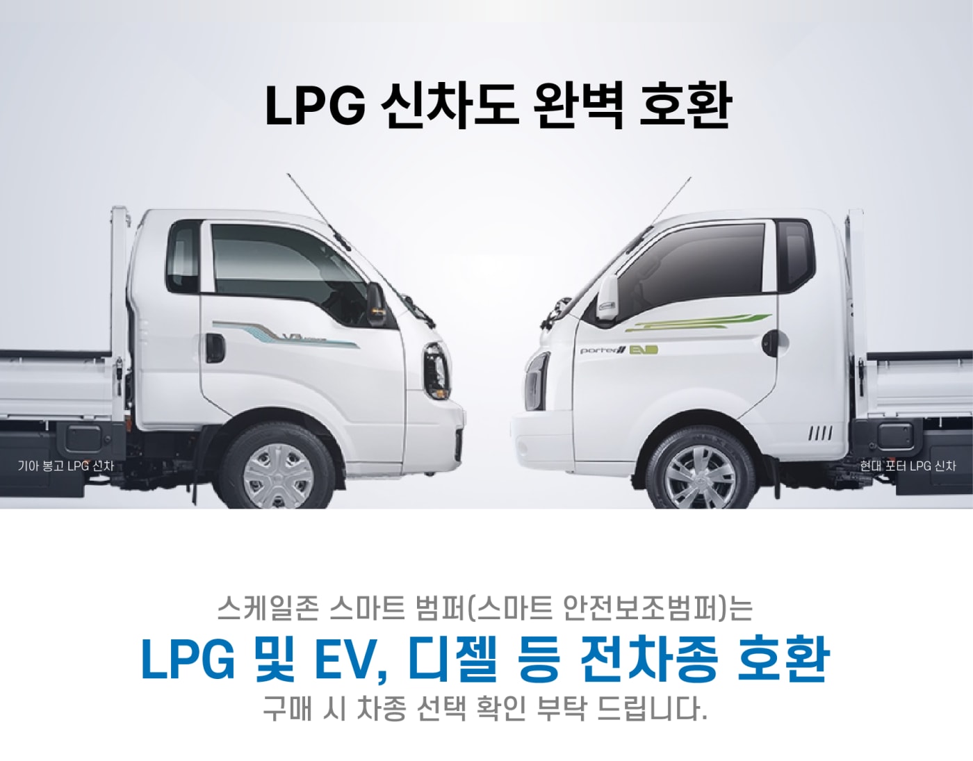 스케일존