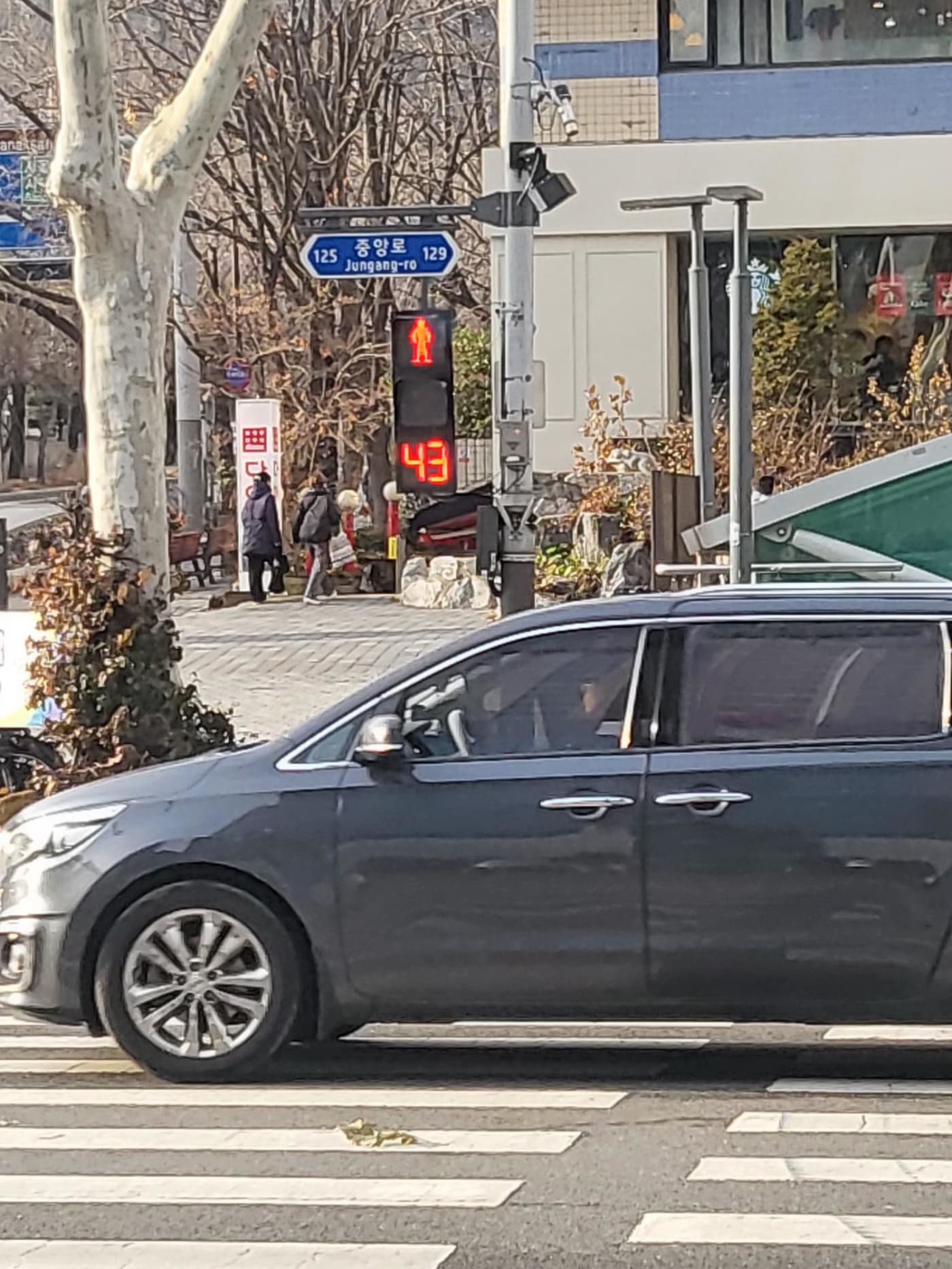 성풍솔레드