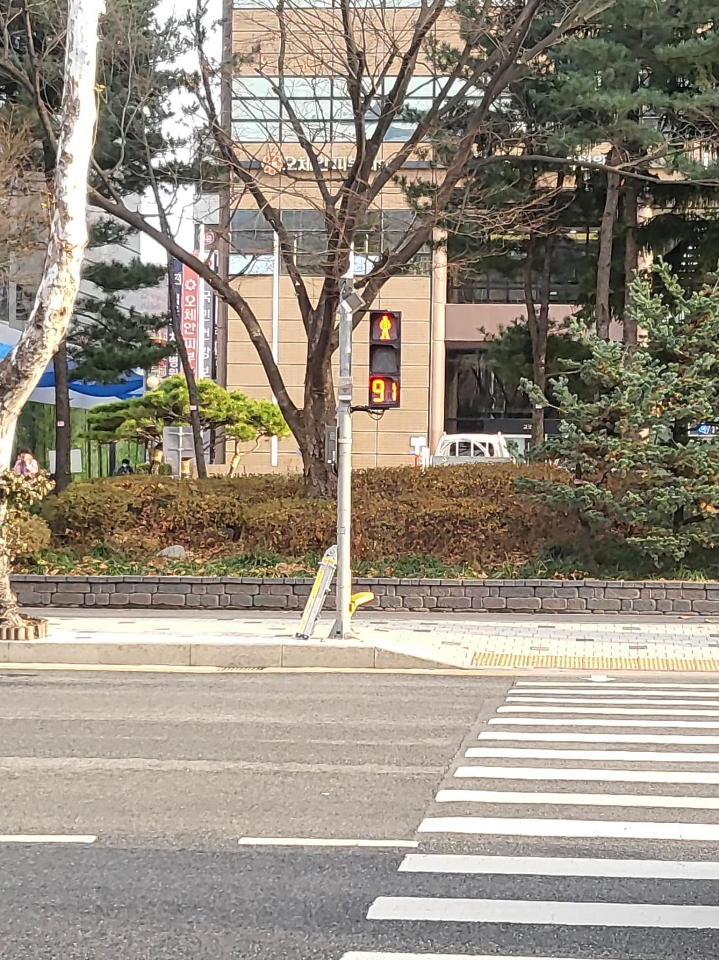 91초라는 긴 대기 시간을 명확하게 보여주는 적색잔여표시기입니다. 가로수와 건물이 있는 도로변에서 높은 시인성을 발휘하며 보행자의 무단횡단 욕구를 낮추는 심리적 효과를 제공합니다.