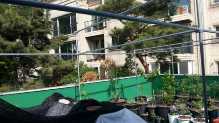 옥상 정원이나 테라스에서 식물 지지대 및 그늘막 프레임으로 활용되는 대형 파이프 구조물입니다. 야외 환경에서도 변형 없이 사용 가능한 확장성과 구조적 안정성을 보여줍니다.
