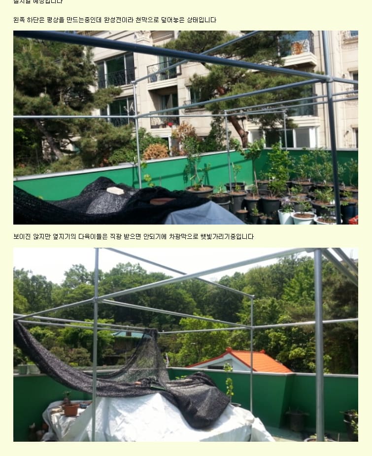 야외 공간에서 파이프 프레임과 차광막으로 만든 다육이 보호 시설물.